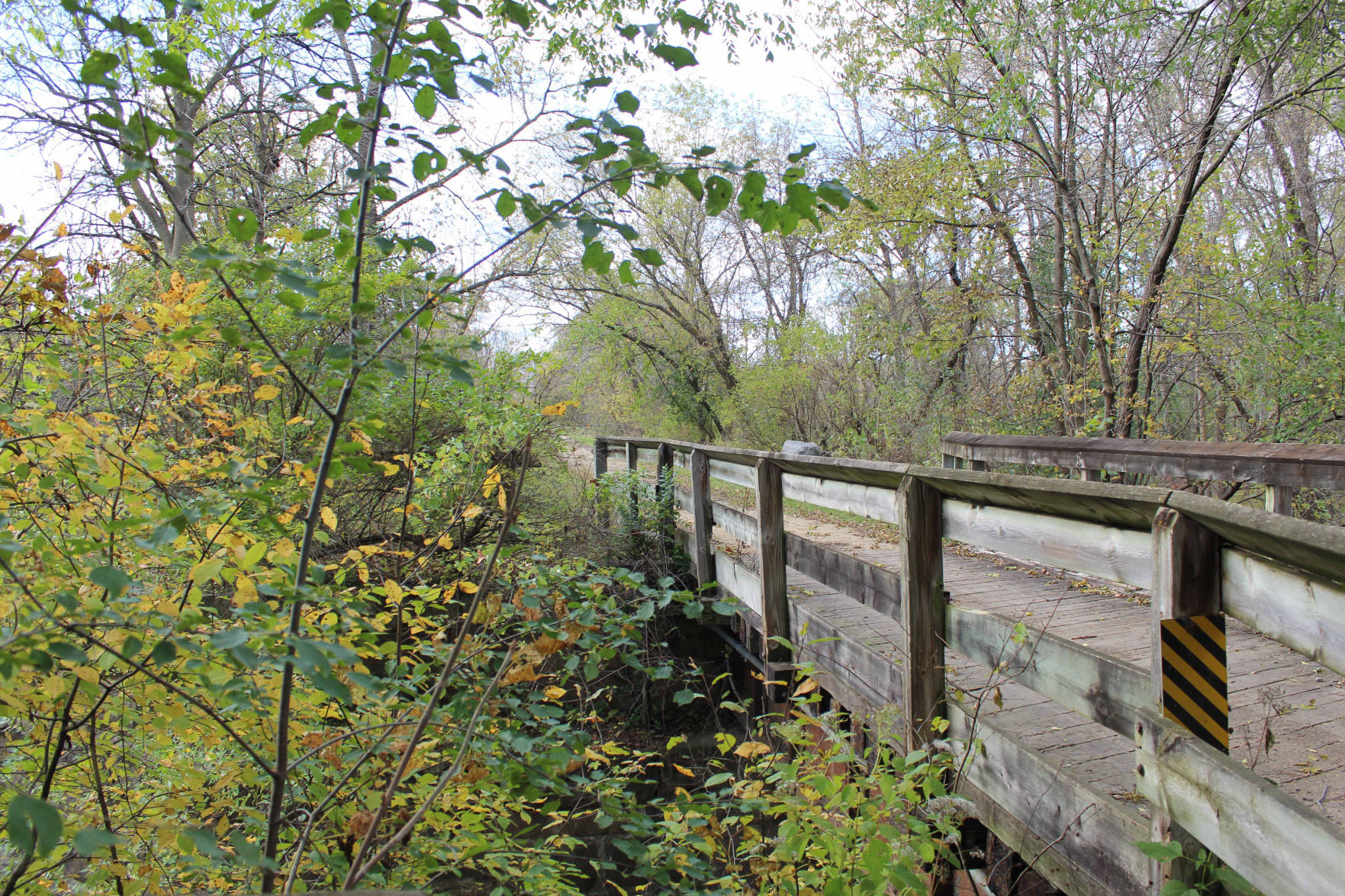Tree yellow leaves and bridge